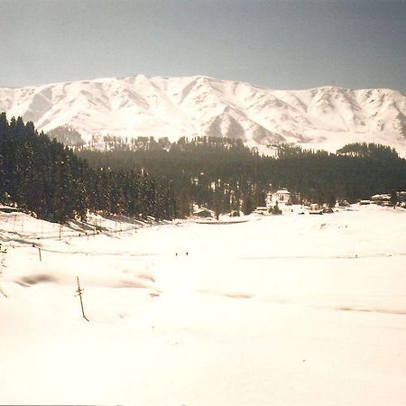 Hotel Zahgeer Continental - Srinagar Bagian luar foto
